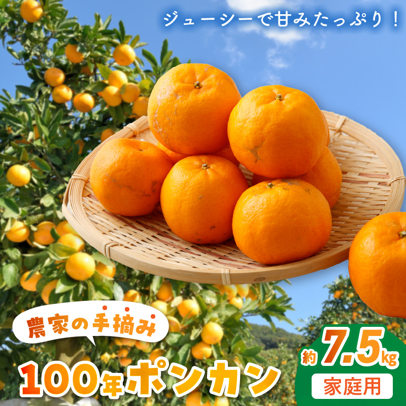 S040-009_農家の手摘み100年ポンカン 約7.5kg 家庭用〈先行受付〉