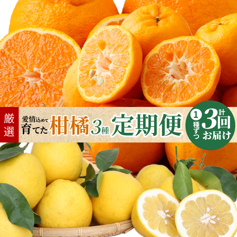 S040-013_【定期便 3回】厳選！天草 下浦地区の農家が愛情込めて育てた柑橘3種〈先行予約〉