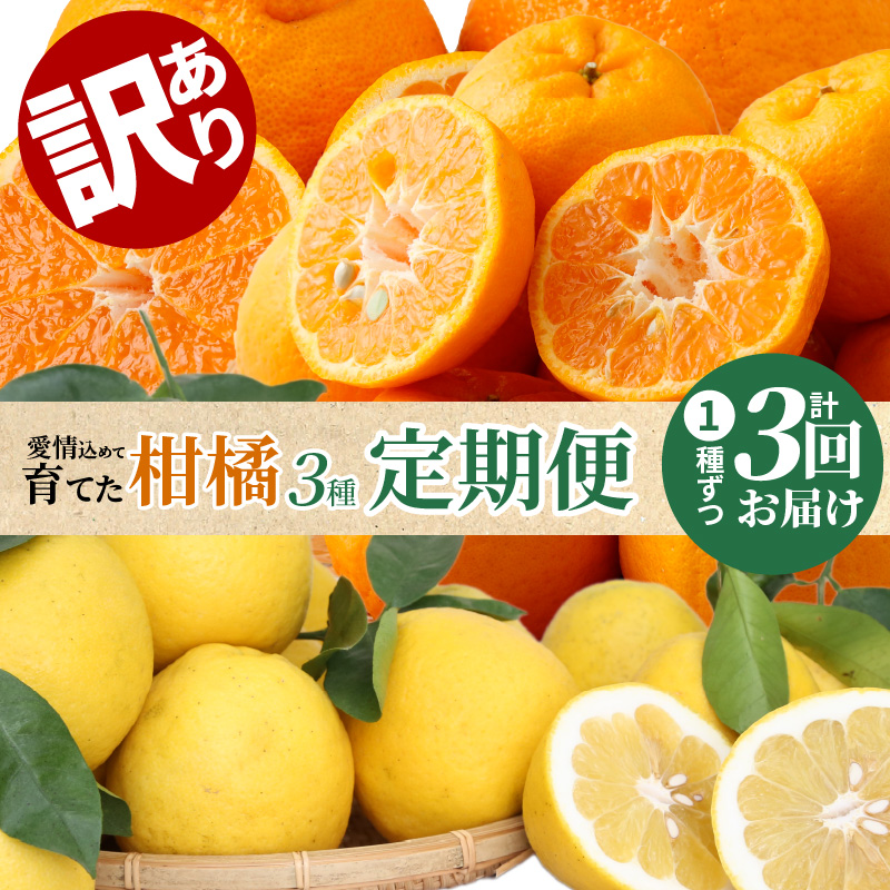 S040-014_【訳あり 定期便3回】天草 下浦地区の農家が愛情込めて育てた柑橘3種〈先行予約〉