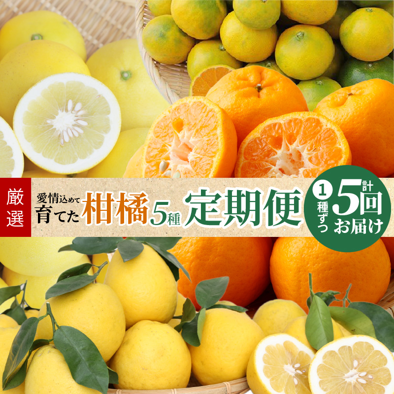 S040-017_【定期便5回】厳選！天草 下浦地区の農家が愛情込めて育てた柑橘5種〈先行予約〉