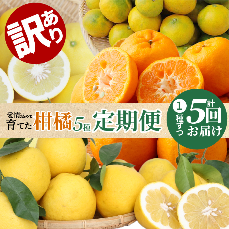 S040-018_【訳あり 定期便5回】天草 下浦地区の農家が愛情込めて育てた柑橘5種〈先行予約〉