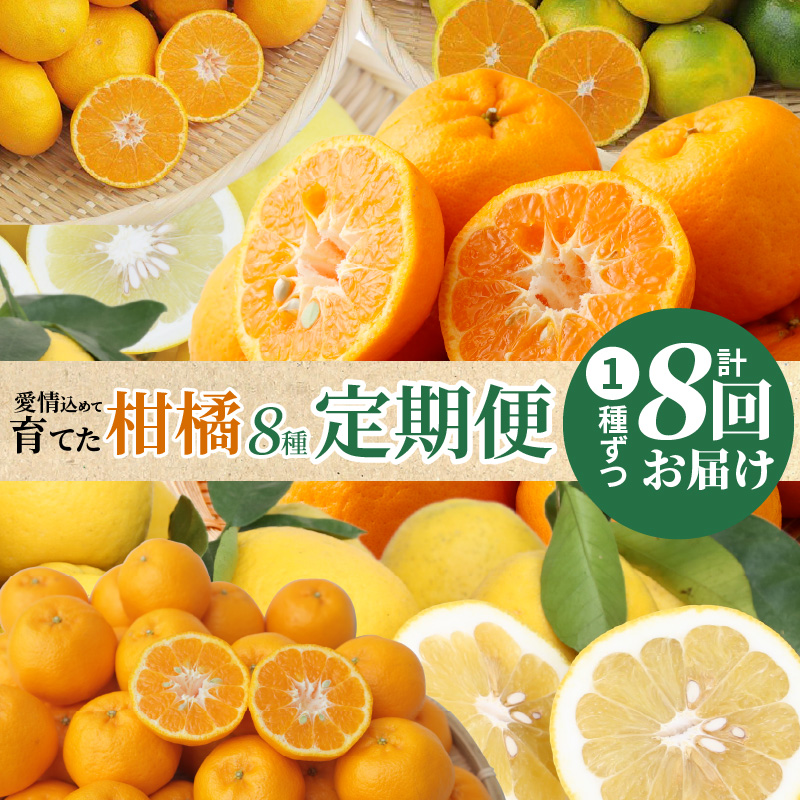 S040-019_【定期便8回】天草 下浦地区の農家が愛情込めて育てた柑橘8種食べ尽しコース〈先行予約〉