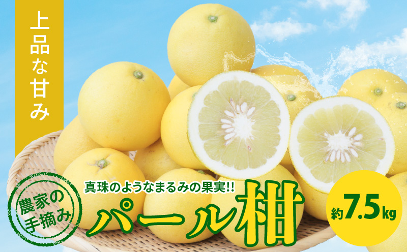 S040-022_農家の手摘み パール柑 7.5kg以上〈先行予約〉 7.5kg以上