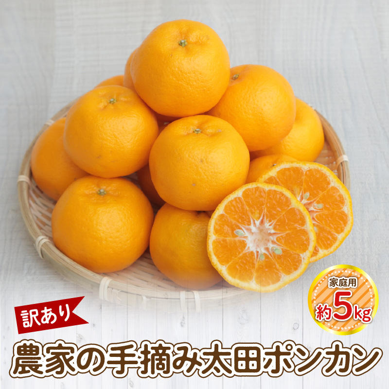 S040-027_【訳あり】農家の手摘み 太田 ポンカン 家庭用約5kg