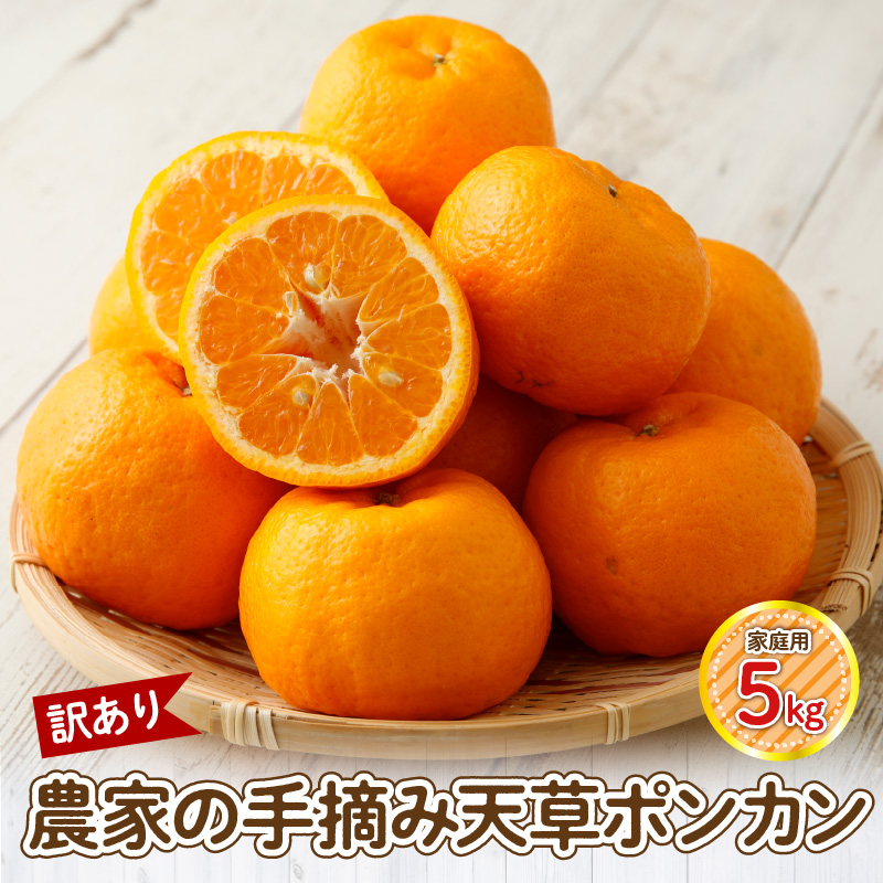 S040-028_【訳あり】農家の手摘み　天草ポンカン　家庭用　5kg
