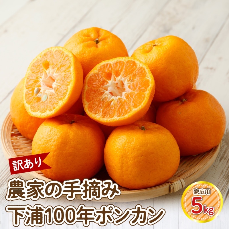 S040-029_【訳あり】農家の手摘み　下浦100年ポンカン　家庭用　5kg