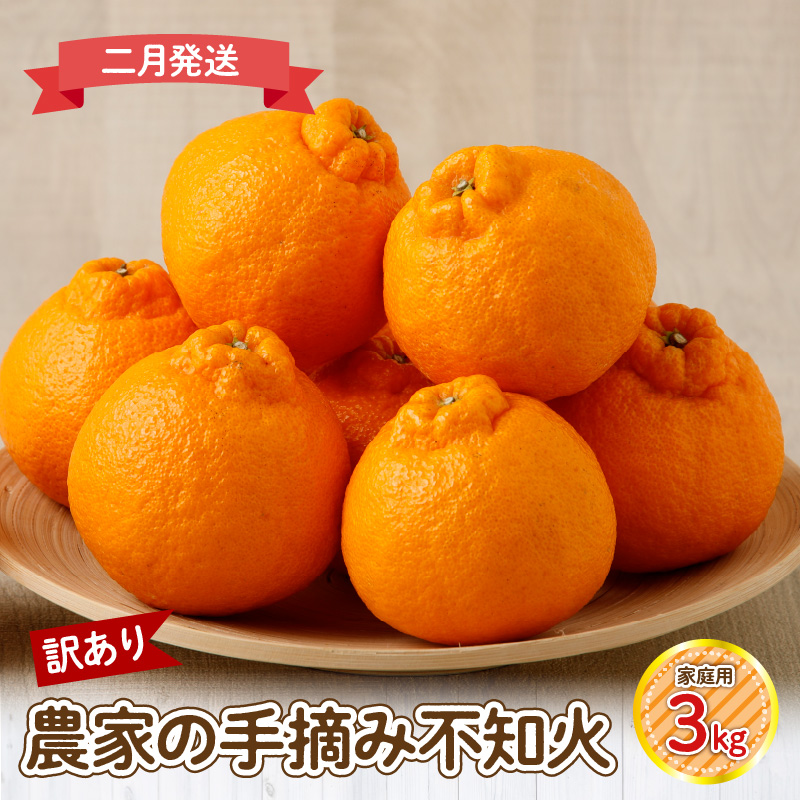 S040-030-02_【訳あり】≪2月発送≫農家の手摘み　不知火　家庭用　3kg ≪2月発送≫