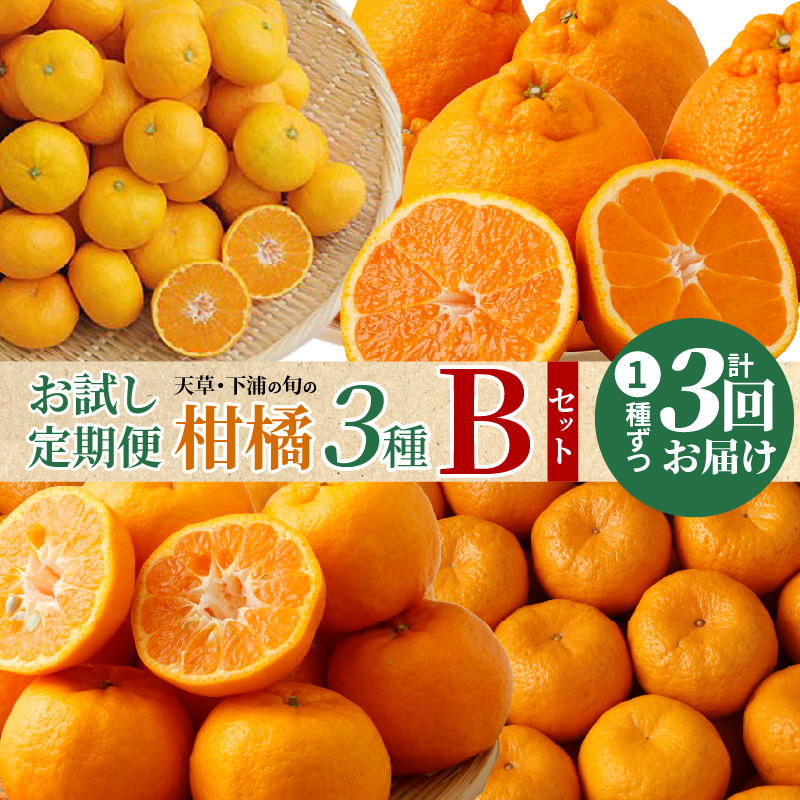 S040-T09_【お試し定期便】天草・下浦の旬の柑橘3種Bセット