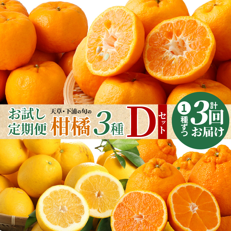 S040-T11_【お試し定期便】天草・下浦の旬の柑橘3種Dセット