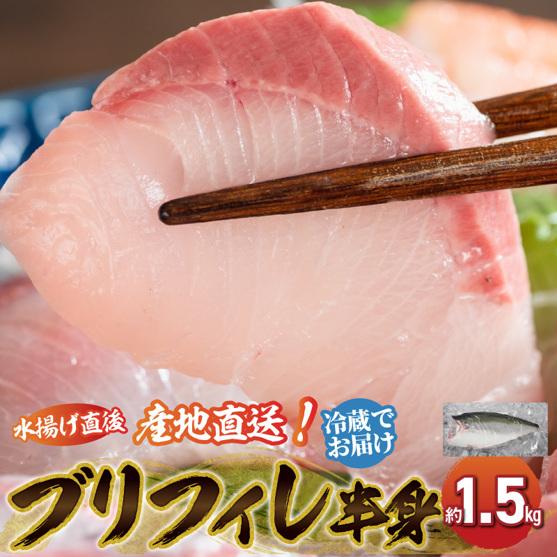S042-005_活〆天草ぶり ブリフィレ 約1.5kg【先行予約】