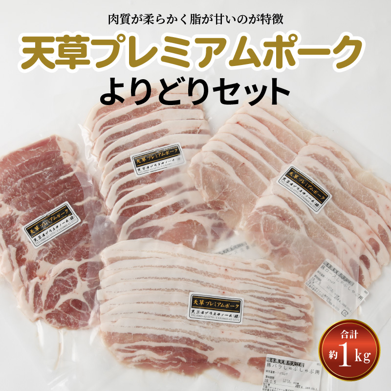 S058-018_天草プレミアムポーク よりどりセット 約1kg