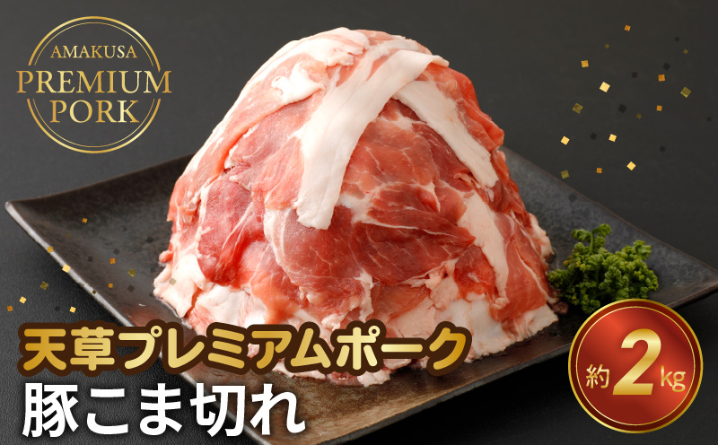 S058-021_天草プレミアムポーク 豚こま切れ 約2.0kg(約500g×4パック)