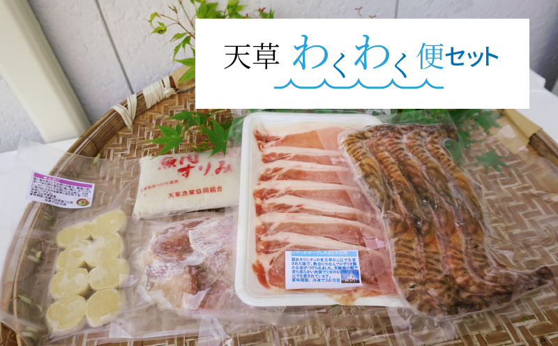 S059-001_天草わくわく便セット(冷凍車海老、魚のすり身、ロザリオポークなど)