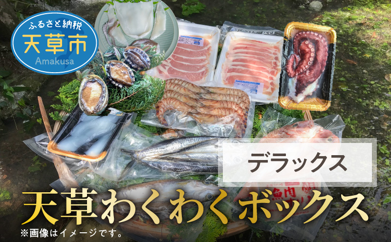 S059-010_天草わくわくボックスデラックス