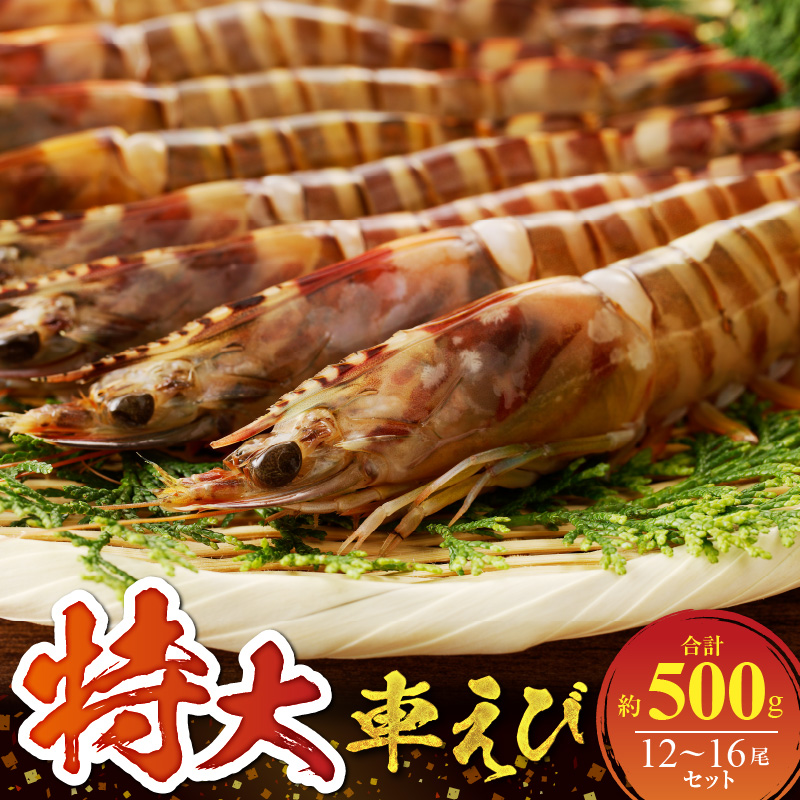 S059-020_特大 車エビ 2パック セット