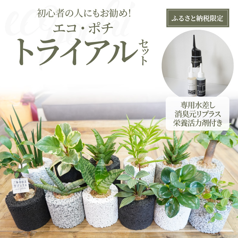 S060-110_【ふるさと納税限定】初心者の人にもお勧め！エコ・ポチ　トライアルセット