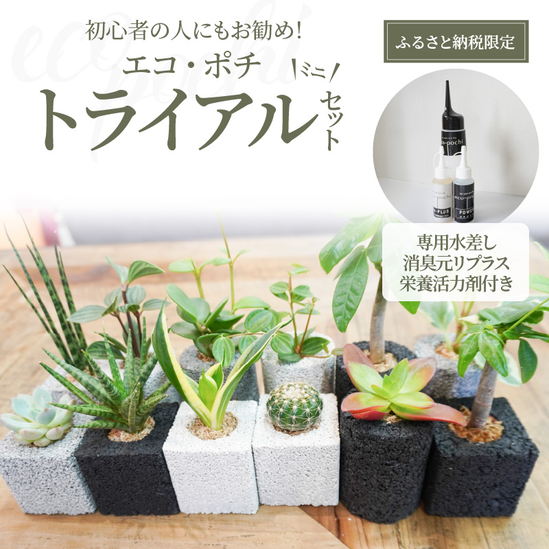 S060-111_【ふるさと納税限定】初心者の人にもお勧め！エコ・ポチ　トライアルセット・ミニ