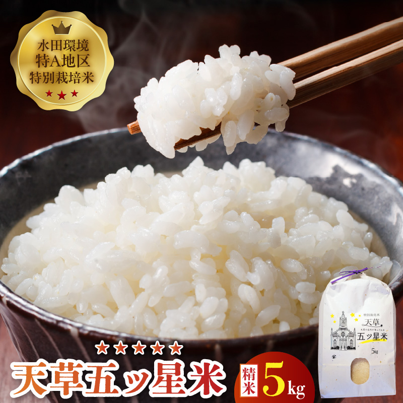 S061-009_令和7年産 特別栽培米 天草五ッ星米 精米 5kg