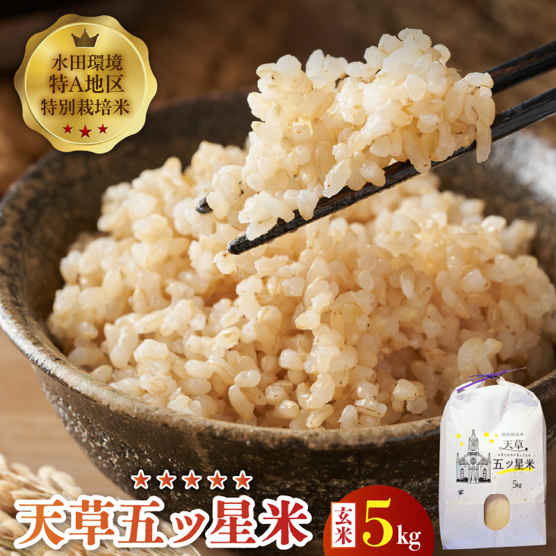 S061-010_令和7年産 特別栽培米 天草五ッ星米 玄米 5kg