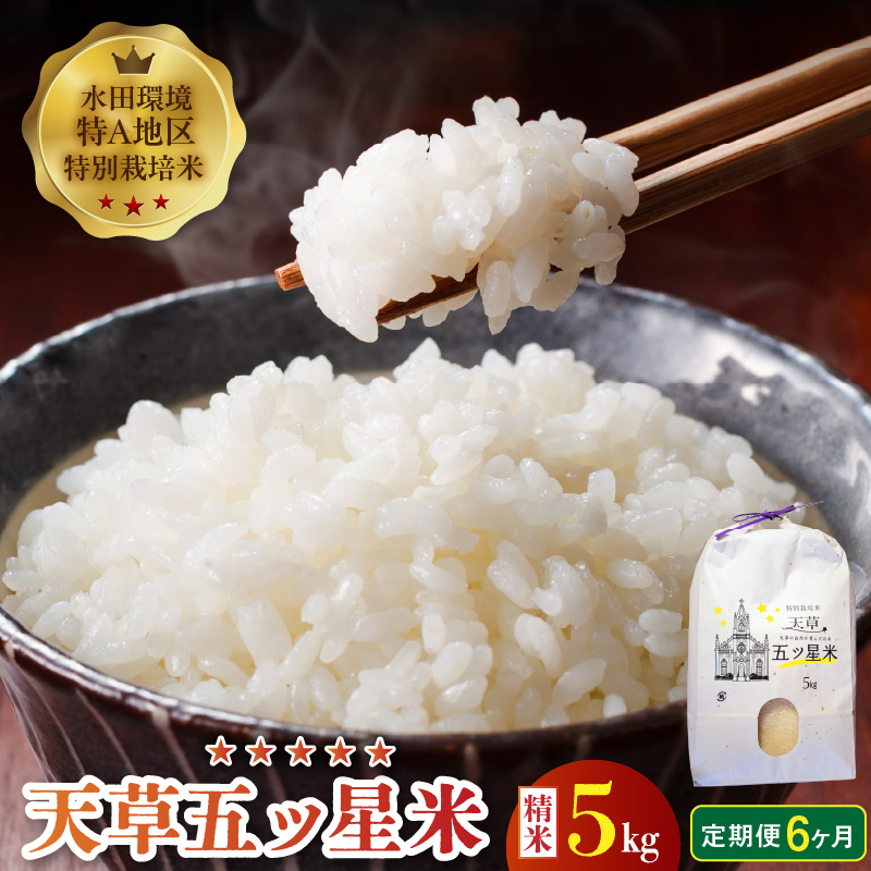S061-T06_【6ヶ月定期便】特別栽培米 天草五ッ星米 精米 5kg