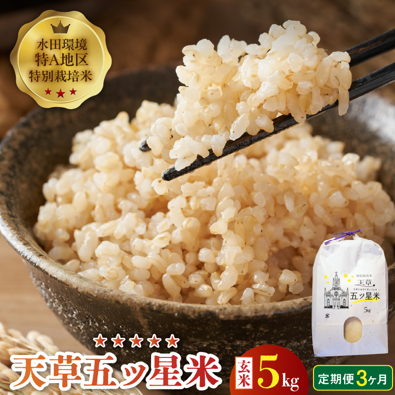 S061-T07_【3ヶ月定期便】特別栽培米 天草五ッ星米 玄米 5kg