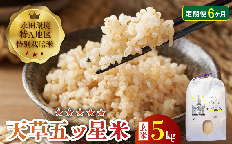S061-T08_【6ヶ月定期便】特別栽培米 天草五ッ星米 玄米 5kg