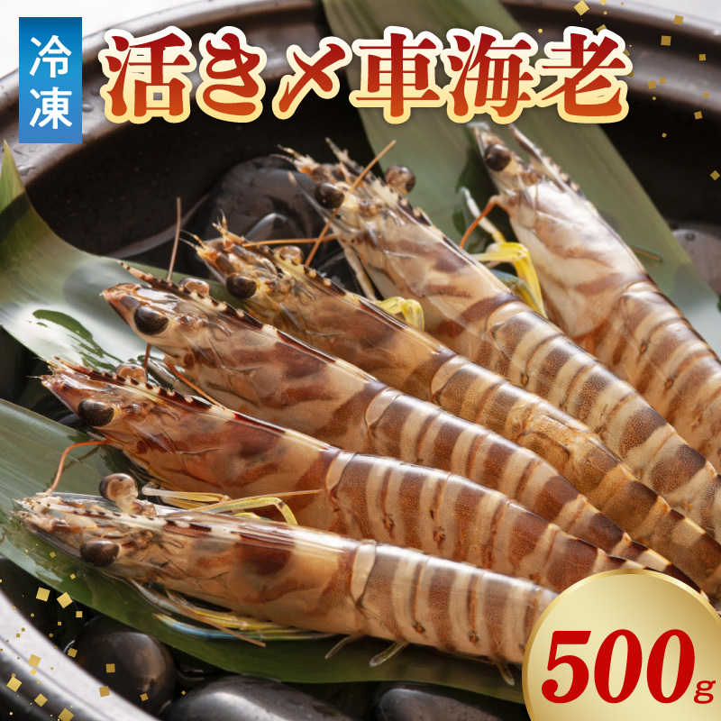 S065-006_活き〆冷凍車海老 500g