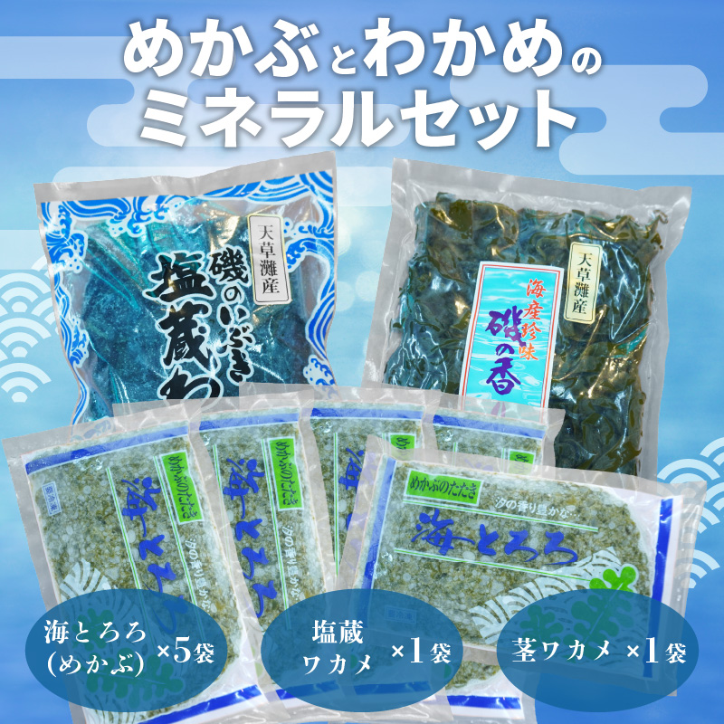 S073-001_めかぶとわかめのミネラルセット(めかぶ・ワカメ・茎ワカメ等)