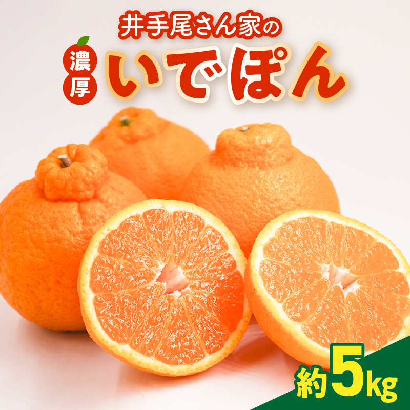 S086-002_井手尾さん家の濃厚いでぽん 不知火 約5kg 柑橘〈先行予約〉