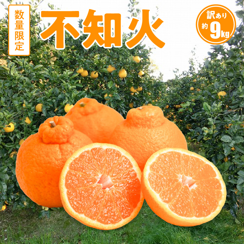 S086-007_訳あり 不知火 約 9kg 数量限定〈先行予約〉