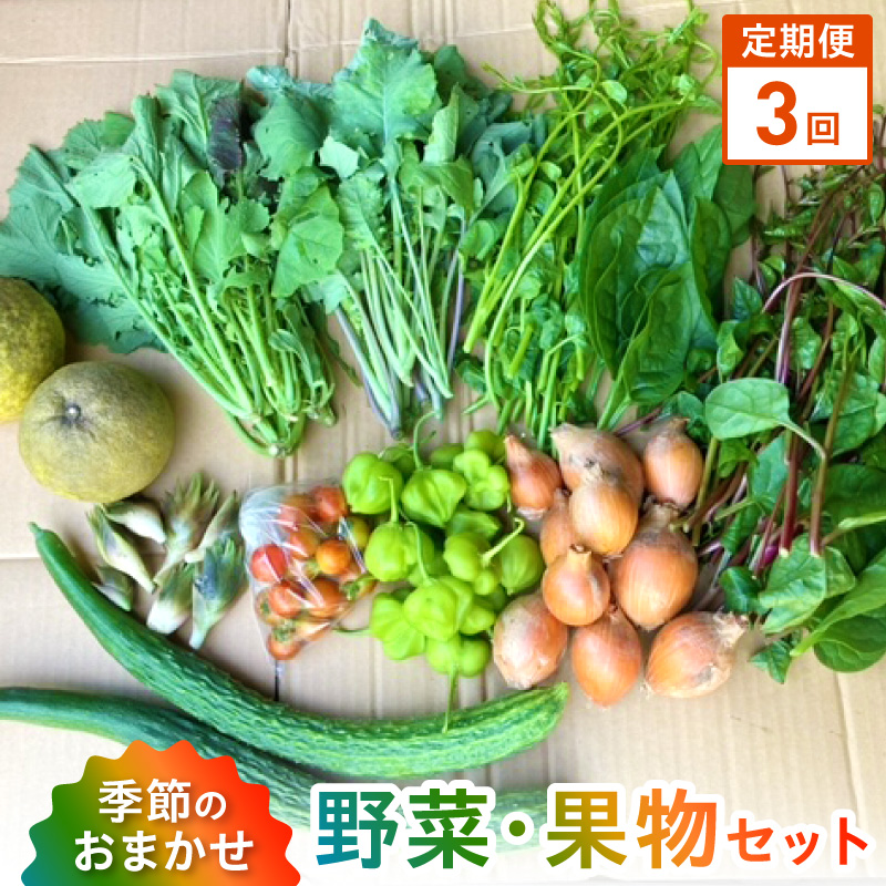 S096-004-T03_【定期便3回】季節のおまかせ野菜と果物セット 定期便3回