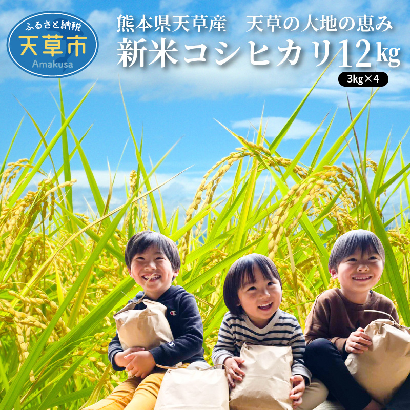 S108-004A_〈令和8年産〉熊本県天草産　天草の大地の恵み　新米コシヒカリ12㎏【先行予約】