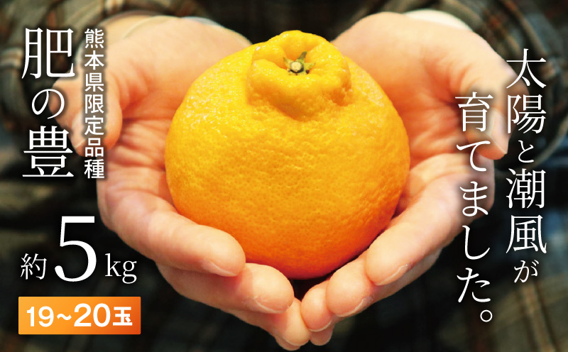 S110-001_熊本県天草産　肥の豊5kg　19～20玉〈先行受付〉