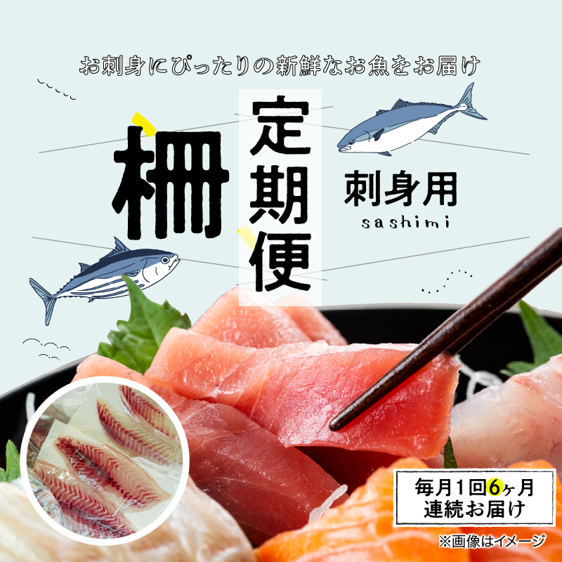 S121-T01_【全6回 連続】お刺身用柵定期便