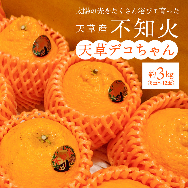 S153-001_天草産 不知火 約3kg【先行受付】