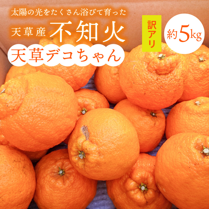 S153-002_天草産 訳あり 不知火 約5kg【先行受付】