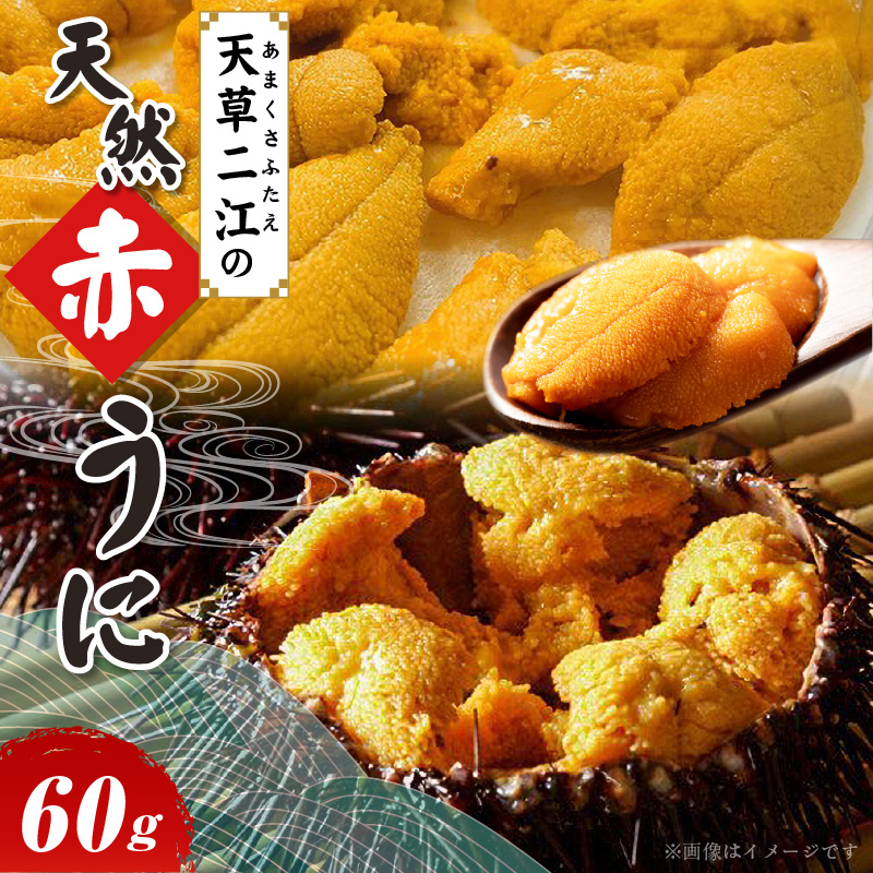 S157-004_天草二江の天然赤うに 60g 60g