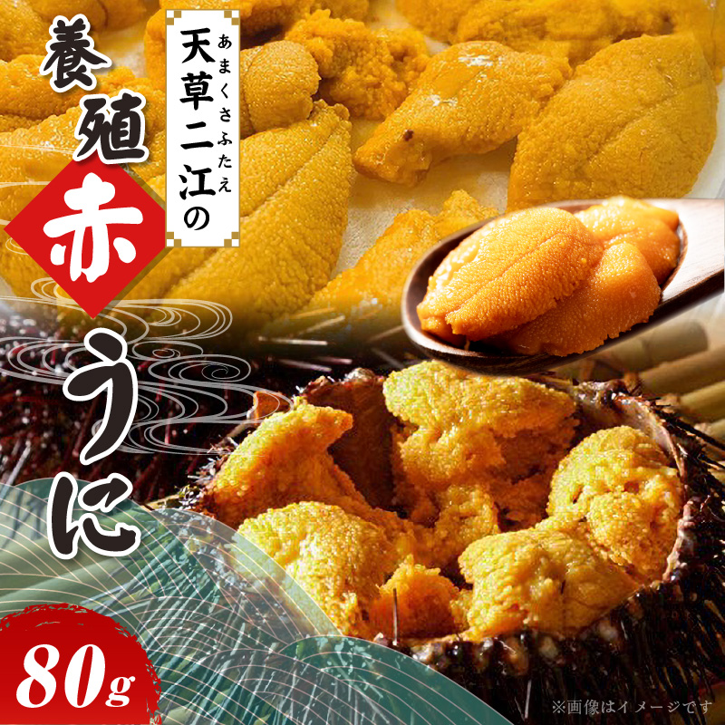 S157-008_天草二江の養殖赤うに 80g 80g