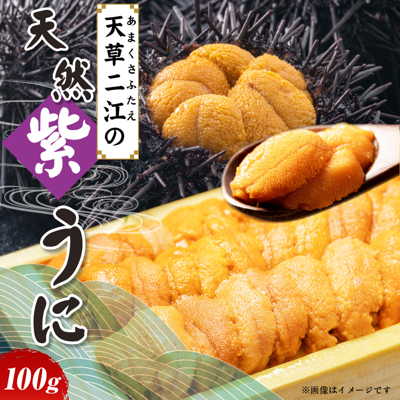 S157-012_天草二江の天然紫うに 100g 100g