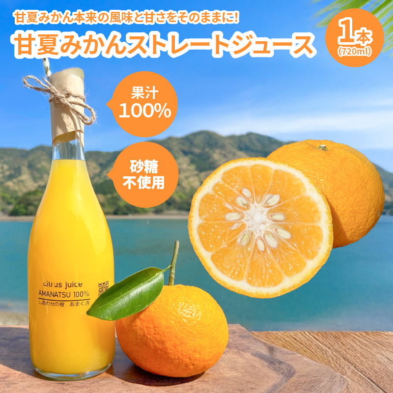 S162-002_甘夏みかんストレートジュース