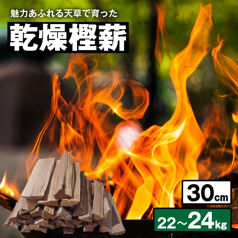 S163-001_魅力あふれる天草で育った乾燥樫薪（天樫　長さ30cm　22～24kg） 長さ30cm　22～24kg