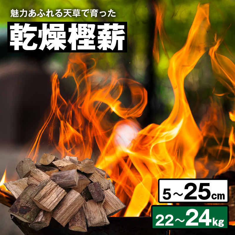 S163-003_魅力あふれる天草で育った乾燥樫薪（天樫　5cm～25cmコロ薪　22～24kg） 5cm～25cmコロ薪　22～24kg