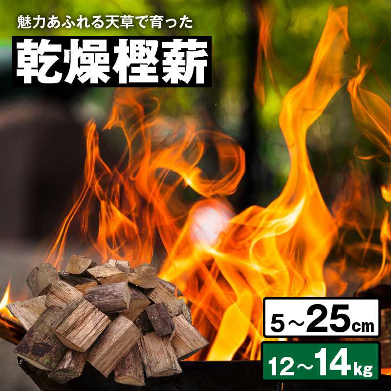 S163-006_魅力あふれる天草で育った乾燥樫薪（天樫　5cm～25cmコロ薪　12～14kg） 5cm～25cmコロ薪　12～14kg