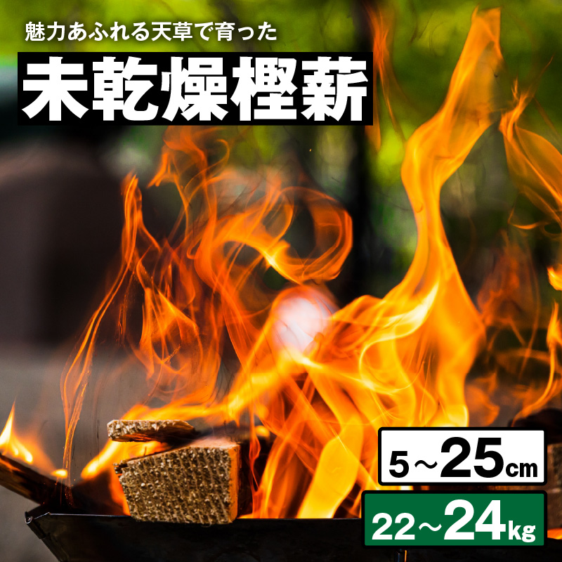 S163-009_魅力あふれる天草で育った未乾燥樫薪（天樫　5cm～25cmコロ薪　22～24kg） 5cm～25cmコロ薪　22～24kg