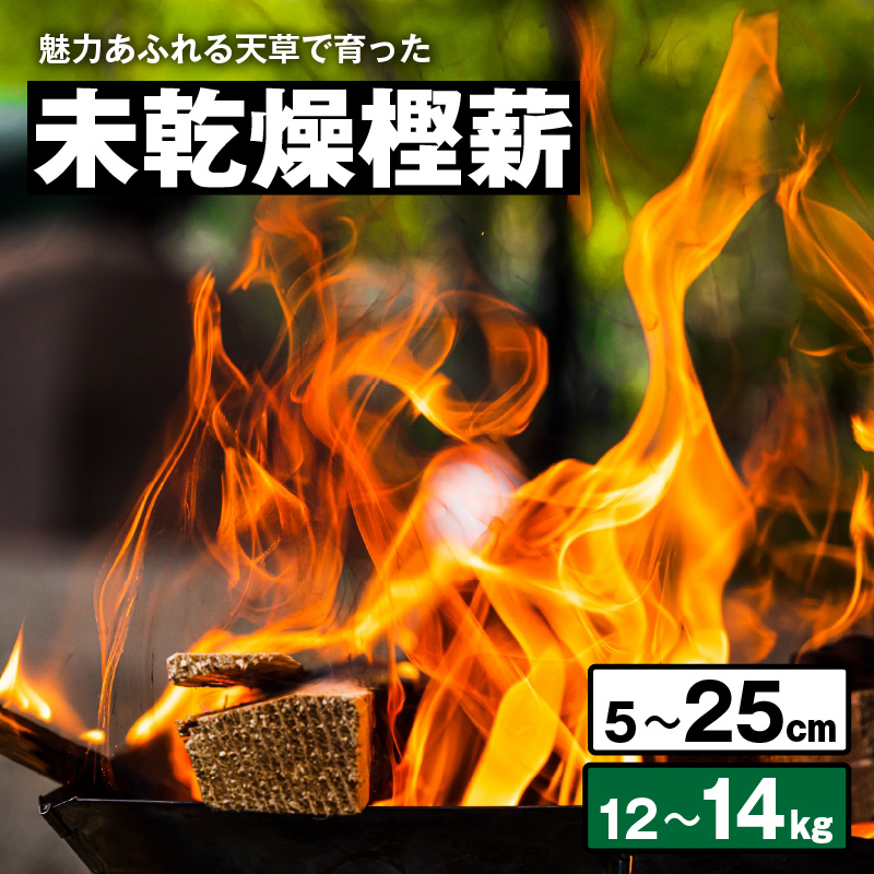 S163-012_魅力あふれる天草で育った未乾燥樫薪（天樫　5cm～25cmコロ薪　12～14kg） 5cm～25cmコロ薪　12～14kg