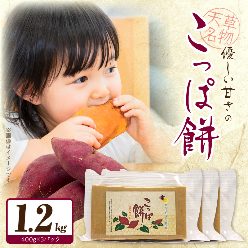 S170-002_天草名物 優しい甘さのこっぱ餅(いも餅)400g×3パック 400g×3パック