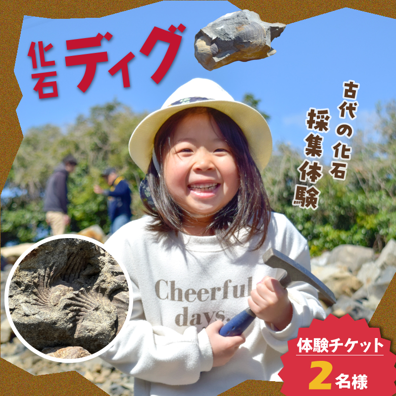 S174-002_化石ディグ利用券(2名様) 2枚