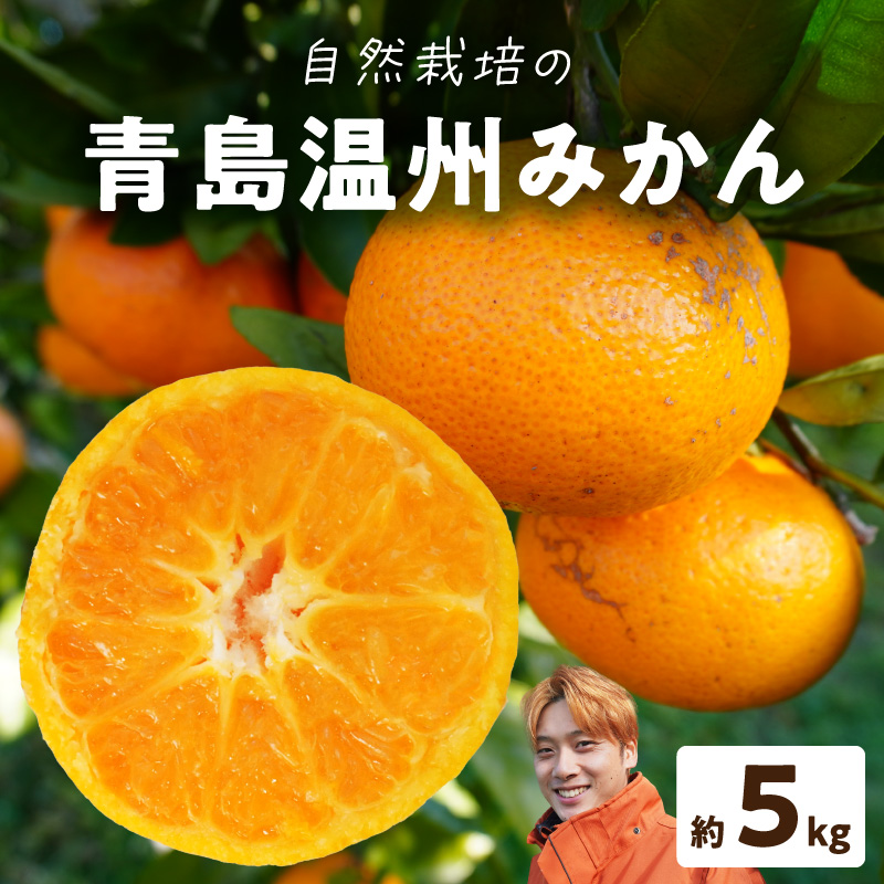 S178-003_青島温州みかん 約5kg