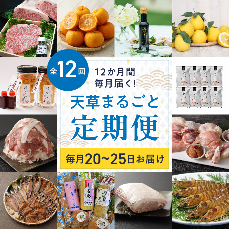 S999-T02_【定期便12回】天草まるごと定期便！12か月間毎月お届け（数量限定！）