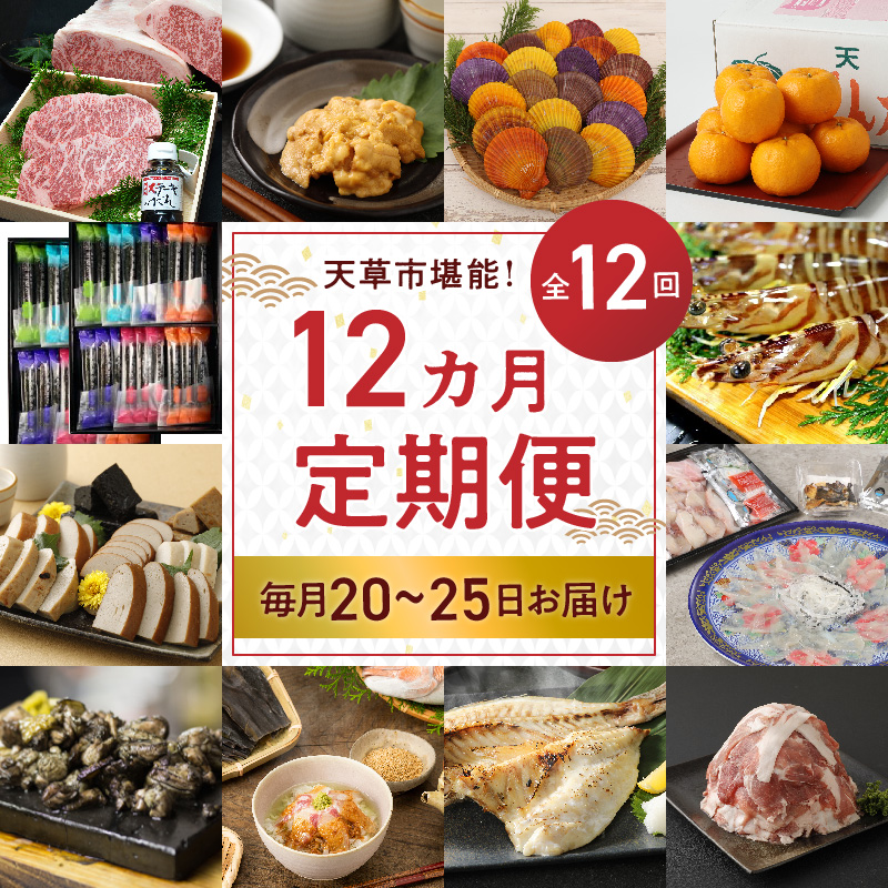 S999-T04_【定期便12回】天草市堪能12ヵ月定期便